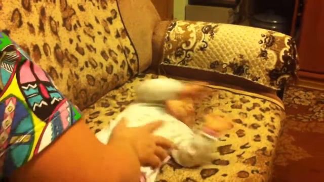 внученька Кира смотреть онлайн