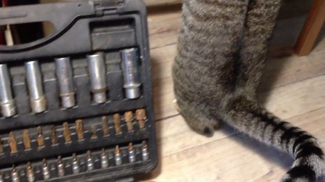 Про перспективы канала. Обслуживаем рабочий инструмент FORCE смотреть онлайн