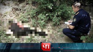 «ЧП»: 26 июля 2022 года | «Чрезвычайное происшествие» на НТВ