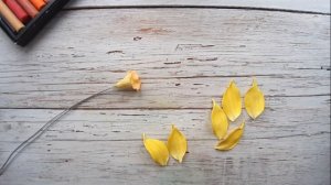 Нарциссы из фоамирана/DIY/Anna Shusta