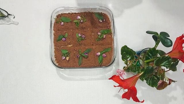 Молочный и апельсиновый мусс. Десерт ко Дню святого Валентина ❤ смотреть онлайн