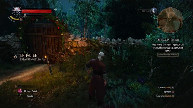The Witcher 3 - Heart of Stone #09 - Es ist Mitternacht. Der Spass ist vorbei oder? смотреть онлайн