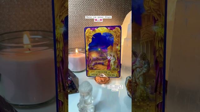 ✨This is your Sign from the Angels✨ #angels #asktheangels #oracle #oraclecards #oraclereading смотреть онлайн
