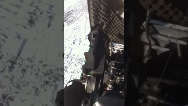 Arctic Cat смотреть онлайн