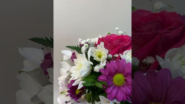 Букет комплимент смотреть онлайн