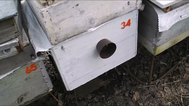 весенние работы с пчелами - особенности весеннего расширения, семей и отводков пчел смотреть онлайн