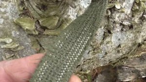 Мой карабин ЧеЗет 550 ( 30-06 ) для охоты на медведя 2022г.