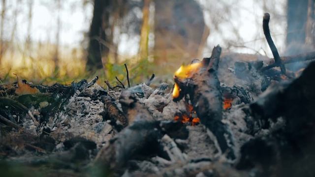 Расслабляющее видео Лес Костер Природа Релакс Forest Fire Nature Relaxation смотреть онлайн