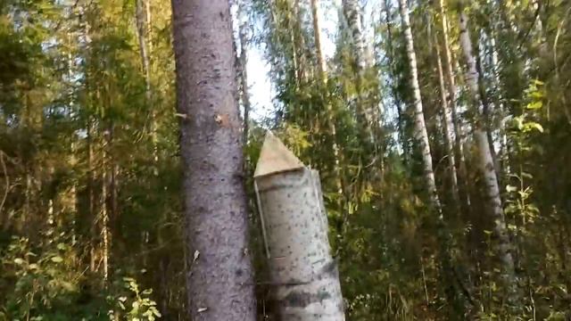 изготовление солонца смотреть онлайн