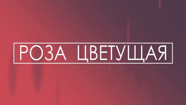 For KING & COUNTRY — Priceless, Бесценна