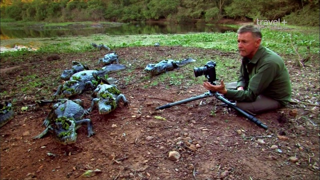 5 смотреть онлайн