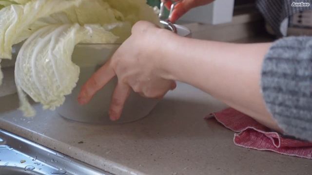 앤비VLOG] 추억이 되는 음식 ? / 혼밥 / 표고버섯솥밥 / 배추전 / 콩나물 고추장 불고기 смотреть онлайн