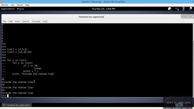 Python for beginner 031 Break, Continue, Pass смотреть онлайн