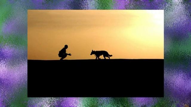 ПЕСНЯ "ПЛАЧ БЕЗДОМНОЙ СОБАКИ" смотреть онлайн