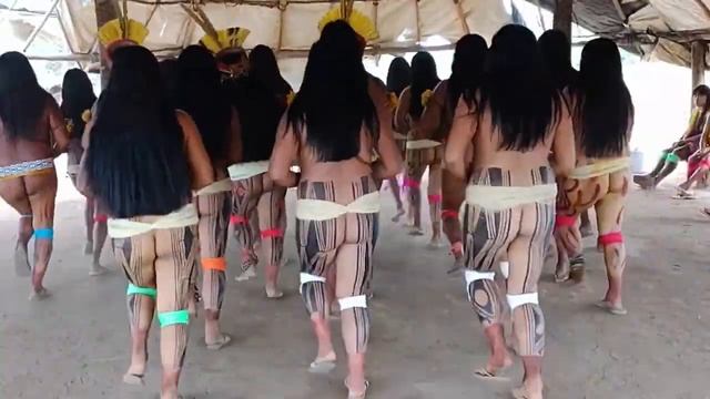 Tribal Dance Rituais De Cura Indígena