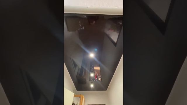 Черный глянцевый натяжной потолок смотреть онлайн