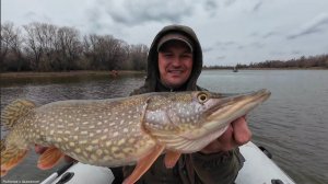 НАША РЫБАЛКА В АСТРАХАНИ (2024) часть 1. Заед, подготовка, рыбалка