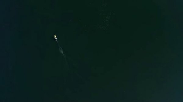 Efoil Waydoo Flyer One Carbon