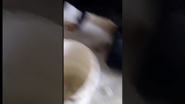 Выбираем качественные фитинги смотреть онлайн