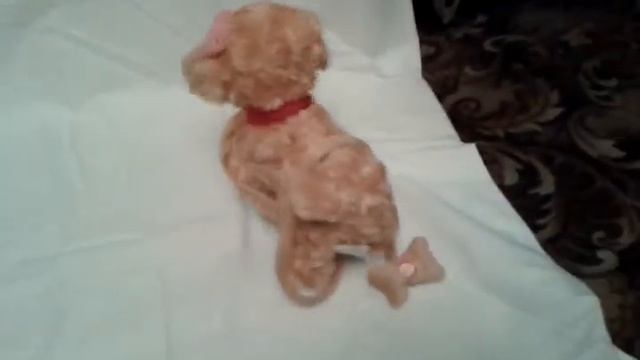 Поющая и танцующая игрушка "интерактивная собачка на поводке" поет 12 песенок детских смотреть онлайн