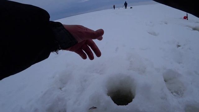 ШОК! Эта СНАСТЬ ловит! Никогда не видел чтоб, ТАКИМ СПОСОБОМ ЛОВИЛИ СУДАКА. Рыбалка на судака зимой смотреть онлайн