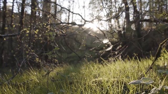 Amazing Natural Footages With Relaxing Meditation Music For Mindfulness