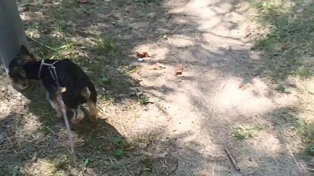 Харьков Салтовка 20 августа 2023 года Добрый День!