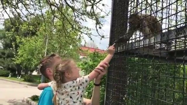 Валюша в парке Тайган. май 2017 смотреть онлайн