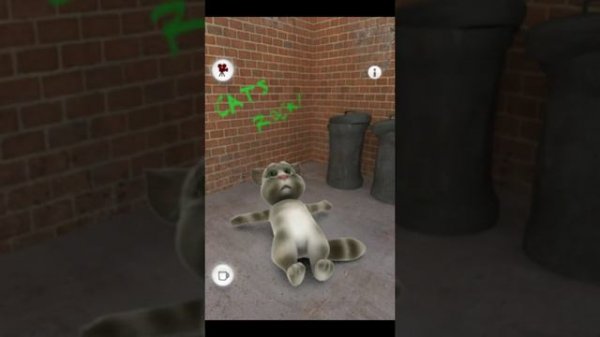 Talking Tom Cat Verison 1.0.0