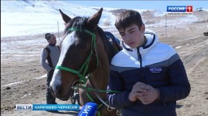 Карачаевские лошади приняли участие в самых престижных скачках мира в ОАЭ