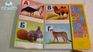 Азбукварик. Говорящая живая азбука. Видео-обзор