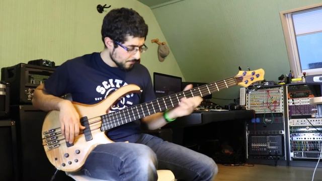 Take the A train - Dany Maatouk on the Bass! смотреть онлайн