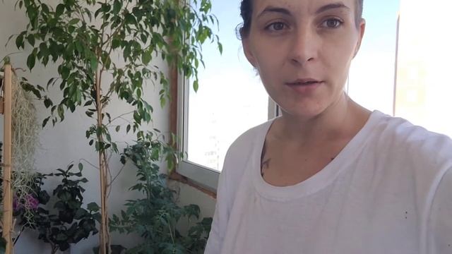 Влог 07.07.2022 ? Подарок супруга ? Новости с балкона и теплички ? смотреть онлайн