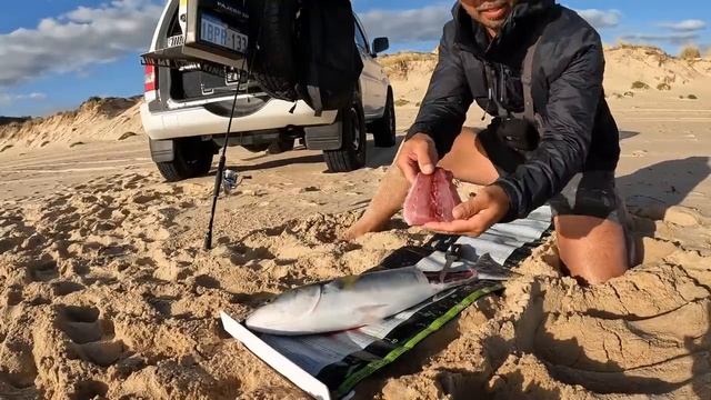 Solo Beach Fishing: 3 Top Fish In One Session! CATCH and COOK смотреть онлайн