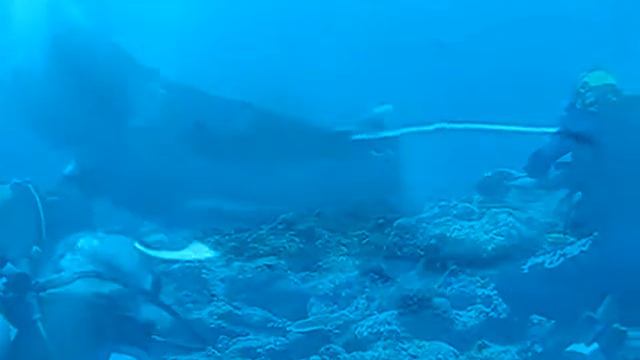 Манта смотреть онлайн