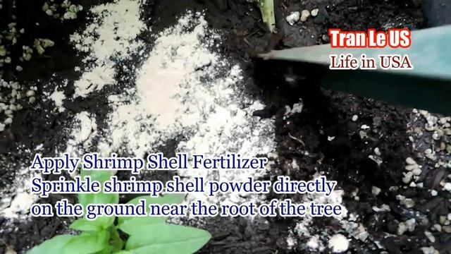 Shrimp Compost, seafood stock recipe, fish fertilizer | Gardening #2 смотреть онлайн