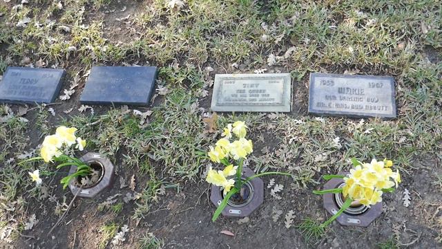 Bud Abbott Pets Graves La Pet Memorial Park Calbasasa California US Jan 2021 Wakie Tiny Tippie Bits смотреть онлайн