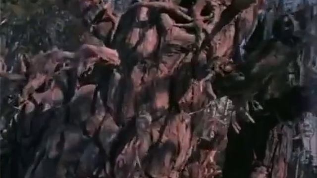 баба яга и иван . морозко. смотреть онлайн