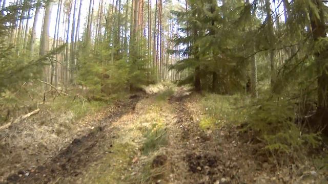 OFF-ROAD ГАЗ-69 экспедиция дом в лесу углубления Что мы нашли? Внедорожная GAZ-69 expedition смотреть онлайн