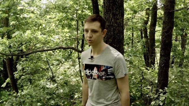 М. Ю. Лермонтов «Выхожу один я на дорогу» смотреть онлайн