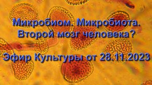 Микробиом, МИКРОБИОТА, Второй мозг. Бактерии управляют человеком? Пробиотики и Симбиотики.2023-11-28