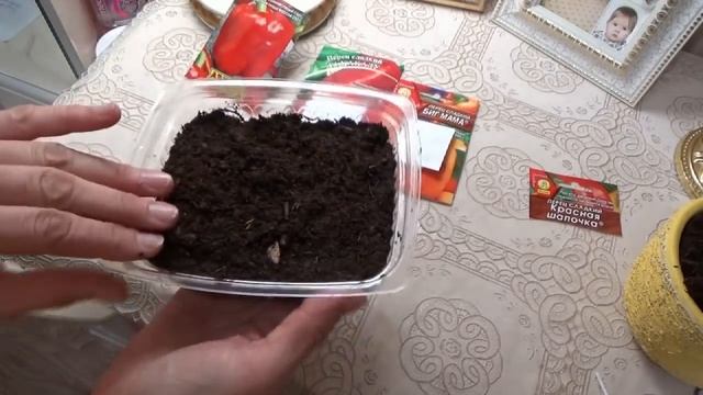 Лыжная прогулка, проверка запасов овощей или как я перец сажала! :) смотреть онлайн