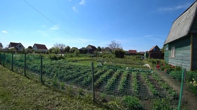 Advantages & Disadvantages of Distant Dachas. Inside old community in Yaroslavl region смотреть онлайн