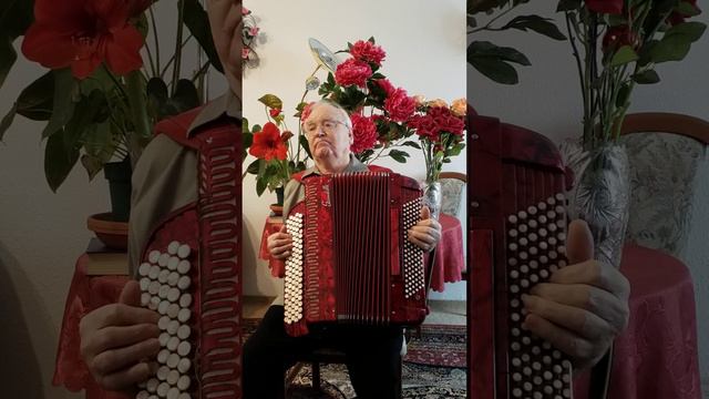 Сердце плачет и болит. ( Шаман). смотреть онлайн