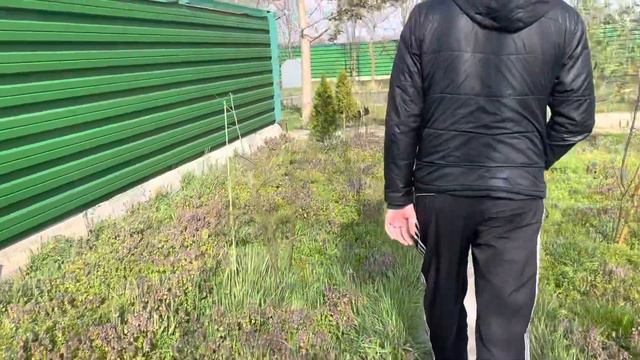Заместитель прадеда… смотреть онлайн