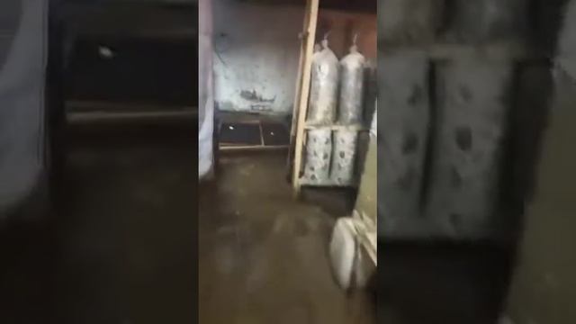 Выращиваем грибы вешенки смотреть онлайн