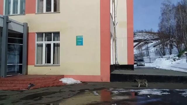 Санаторий «Шахтер». Зенковский район города Прокопьевск. Обзор территории. смотреть онлайн