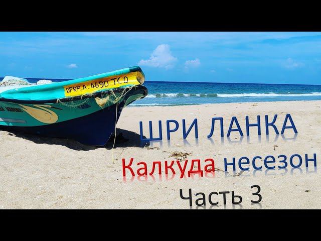 Восток Шри-Ланки. Калкуда. Часть 3. Где всё таки дожди? смотреть онлайн