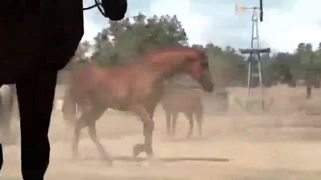 Red Dead Redemption by DrZlo смотреть онлайн