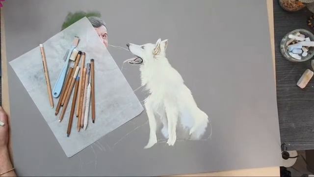 Live Dessin Et Papote 2 смотреть онлайн